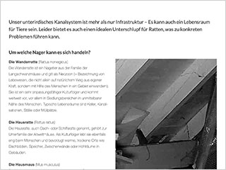Unser unterirdisches Kanalsystem ist mehr als nur Infrastruktur – Es kann auch ein Lebensraum für Tiere sein. - Vorschaubild zum Artikel